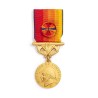 Médaille services Exceptionnels Vermeil