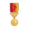 Médaille services Exceptionnels Or