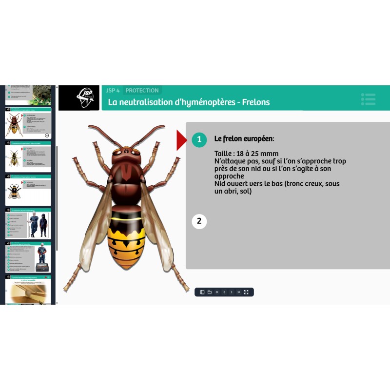 Support numérique EDOC6 Formateur JSP 4 niveaux - 1 an