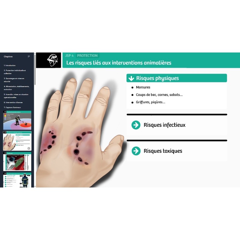 Support numérique EDOC6 Formateur JSP 4 niveaux - 1 an